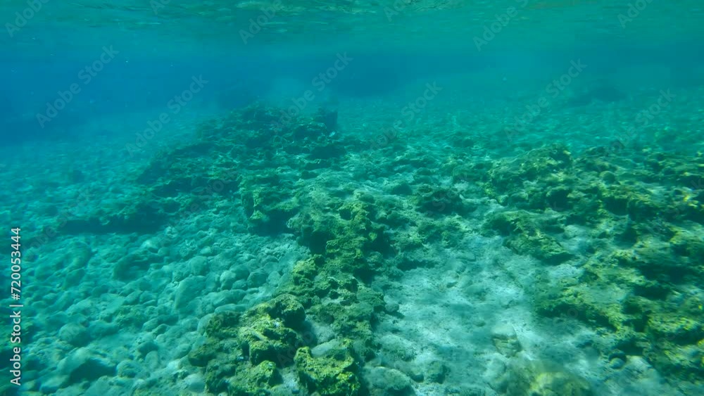 Sandy stones seabed in shallow water on a sunny day, Slow motion. Natural underwater background, Rhodes island, Mediterranean sea, Greece Sandy stones seabed in shallow water on a sunny day, Slow motion. Natural underwater background, Rhodes island, Mediterranean sea, Greece