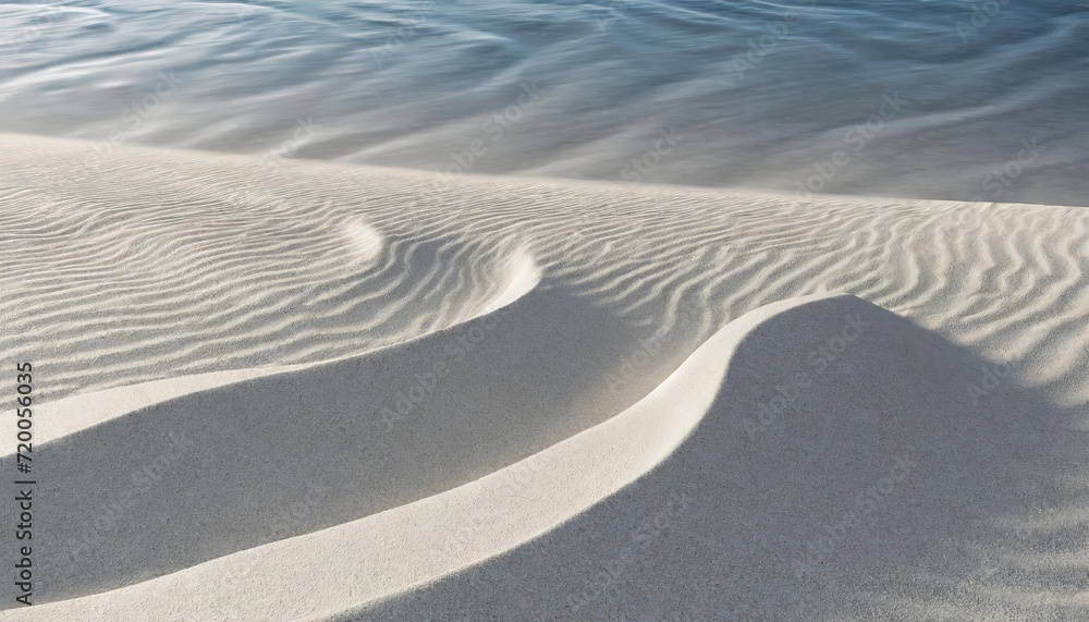 Obraz premium 砂丘の風紋