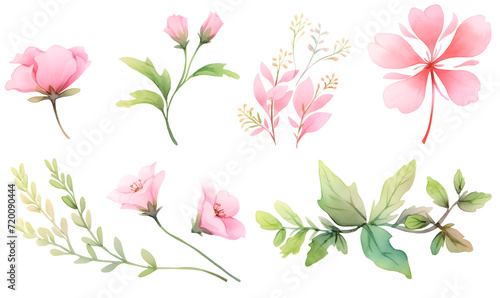 Fototapeta Naklejka Na Ścianę i Meble -  Watercolor pink flower object, Generative AI