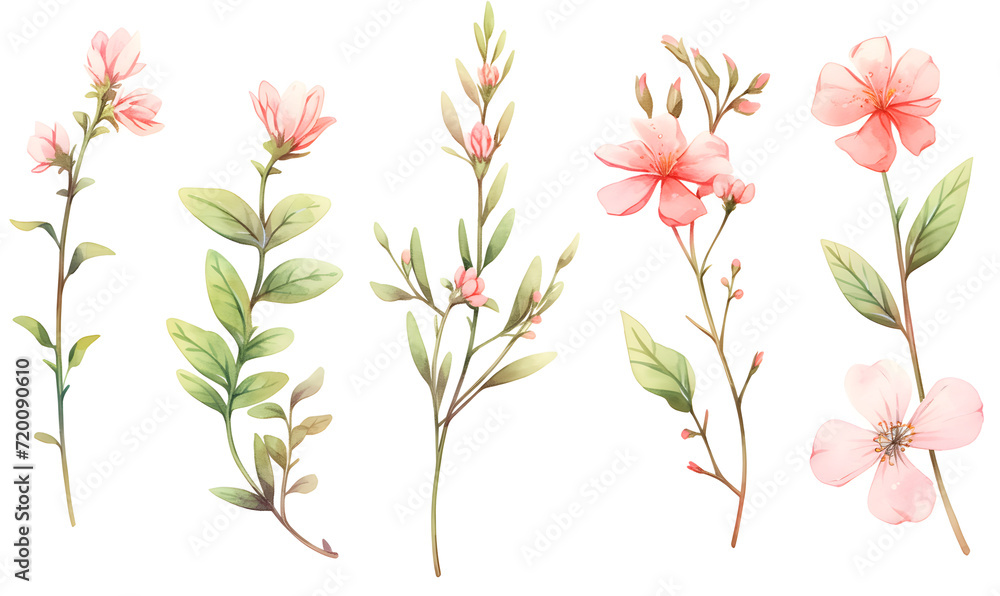 Watercolor pink flower object, Generative AI Watercolor pink flower object, Generative AI