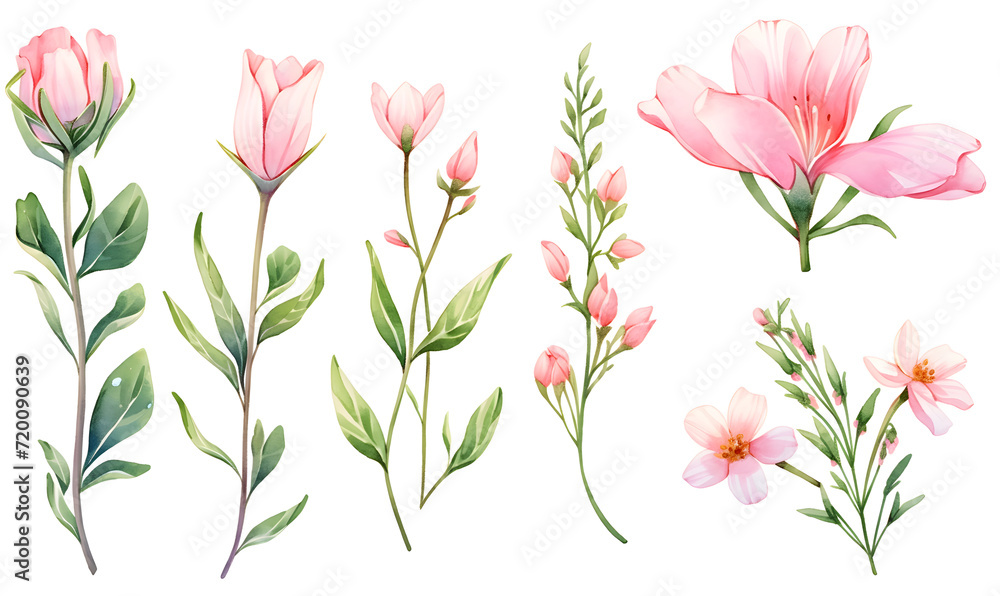 Watercolor pink flower object, Generative AI