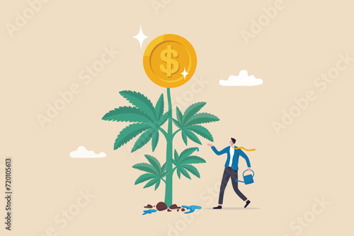 Cannabis business, ganja, marijuanas for medical and therapy to make money, legal CBD medicine, alternative cannabis oil concept, businessman watering cannabis plant with dollar money earning.