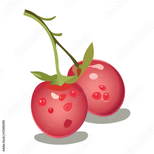 Berry of colorful set. The cartoon design of the cherry bursts with bright, cheerful colors, making it delectable choice for projects related to fresh fruit or healthy eating. Vector illustration.