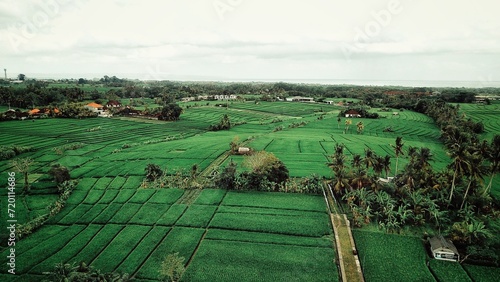 Fotografie beauty of ricefield from the top