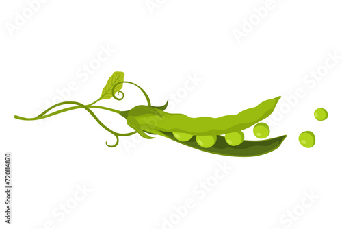 Green pea pod. Vegetable icon. Element for packaging and menu design. Natural green healthy eco product. Vector illustration