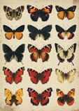 Vintage set of butterflies isolated,AI generated
