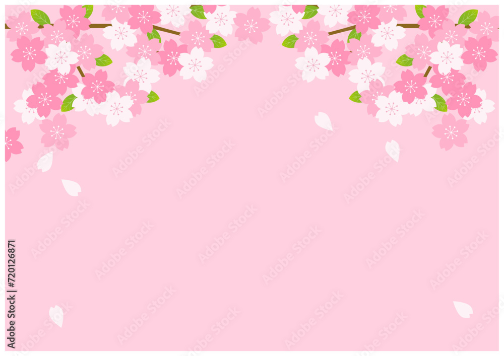 桜の花が美しい春の桜フレーム背景19桜色