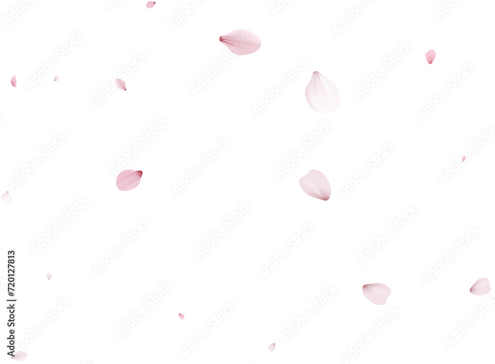Sakura flying petals, romantic background. Sakura flying petals, romantic background.