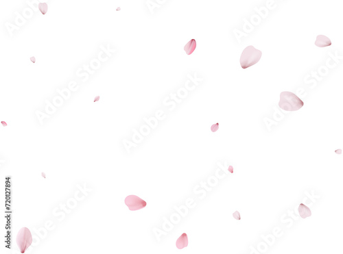 Sakura flying petals, romantic background.