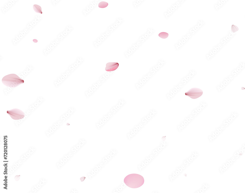 Sakura flying petals, romantic background. Sakura flying petals, romantic background.