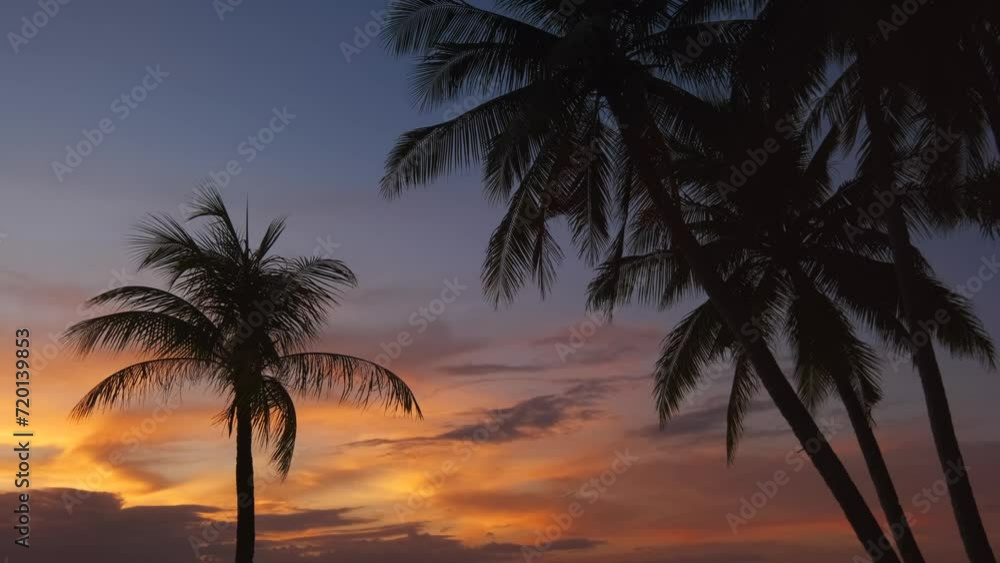 Silhouetted palms and sunset sky on tropical beach, 4k Silhouetted palms and sunset sky on tropical beach, 4k