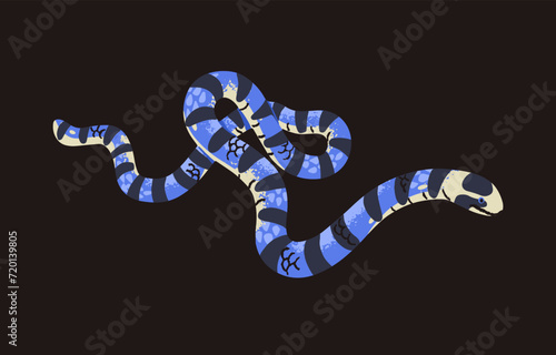 Belcher sea snake. Malayan blue krait. Deadly exotic venomous serpent with striped scale. Dangerous wild poisonous reptile. Asia, Indonesia cold blooded fauna. Flat isolated vector illustration