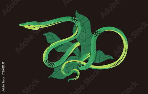 Green vine snake in tree leaves. Exotic jungle poisonous serpent. Tropical venomous reptile with long slim body. Rainforest fauna, colored cold blooded animal. Flat isolated vector illustration