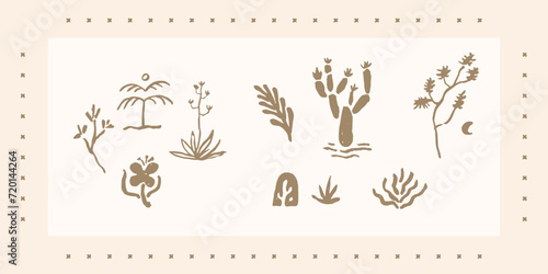 plants American Southwest and Mexico style aesthetic design, soothing vibe, natural feel, organic forms, rustic charm
