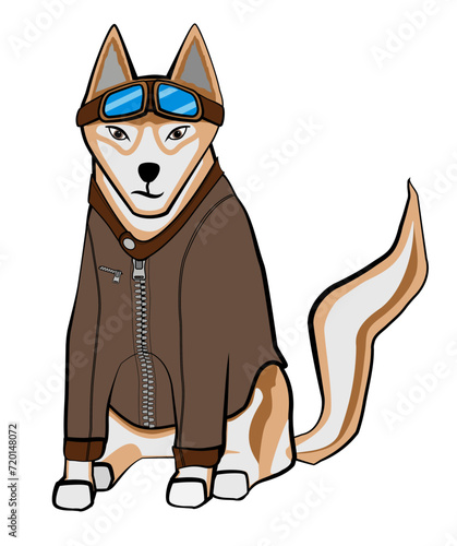 An aviator dog, a husky who wears a brown coat and glasses, illustration of a young airplane pilot dog in the 1940s