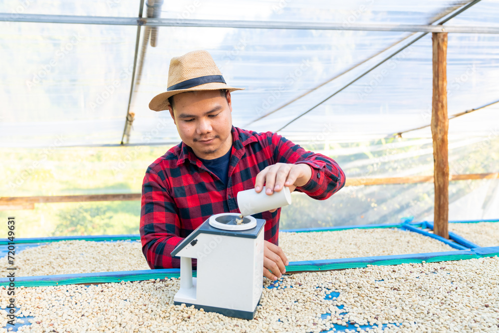 Asian man farmer drying raw coffee beans in the sun at coffee plantation. Farm worker using coffee bean moisture meter inspect dried organic arabica coffee bean in greenhouse. - obrazy, fototapety, plakaty 