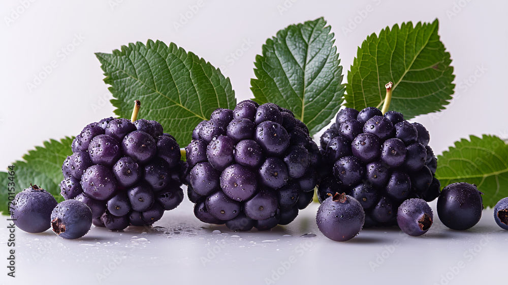 View of Delicious fresh Fruit Elderberry on a white background View of Delicious fresh Fruit Elderberry on a white background