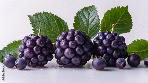 View of Delicious fresh Fruit Elderberry on a white background photo