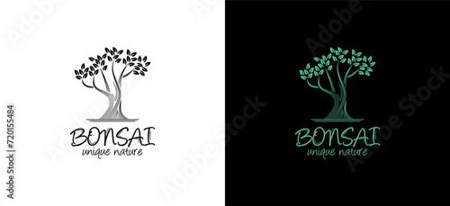 Unique and beautiful natural bonsai tree logo design, line art tree silhouette
