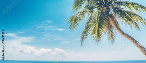  A palm tree graces a tropical beach against a serene blue sky  capturing the essence of tranquil paradise and coastal beauty.