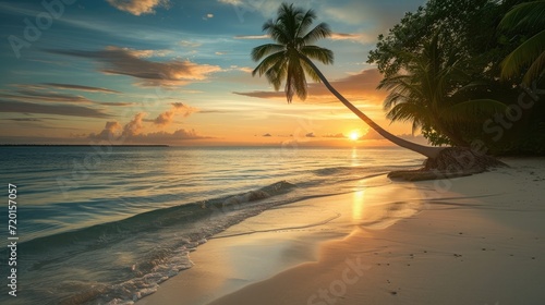 Sunset on the beach. Paradise beach. Tropical paradise, white sand, beach, palm trees and clear water
