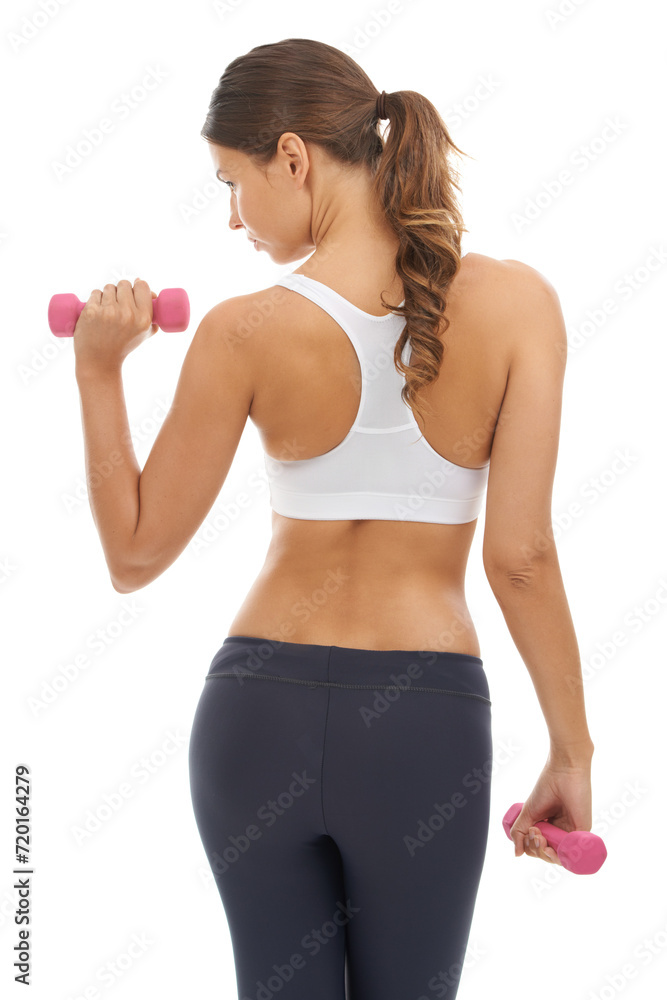 Fitness, exercise and woman in studio with dumbbell for workout, muscle training and body building. Gym, power and commitment to improvement, strong girl weight lifting on white background from back. Fitness, exercise and woman in studio with dumbbell for workout, muscle training and body building. Gym, power and commitment to improvement, strong girl weight lifting on white background from back.