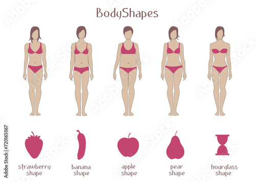 Body shape. Illustration of body shapes. Can be used by clothing designers, stylists. Vector illustration. material for fitness trainers