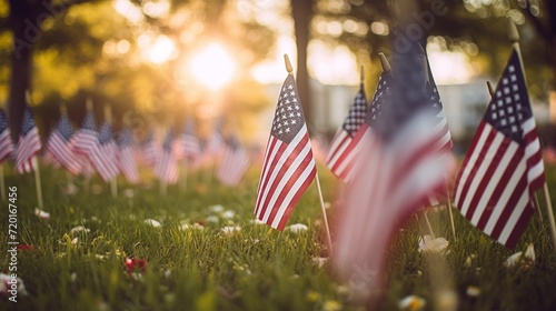 Memorial Day Flags in Cemetry, patriotic American image