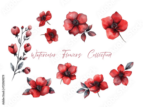 Water color flower set, ultra HD red color is very detailed, which is suitable for wedding templates or other decoration purposes