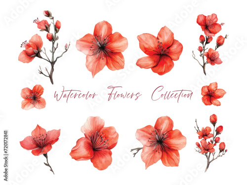 Water color flower set, ultra HD red color is very detailed, which is suitable for wedding templates or other decoration purposes
