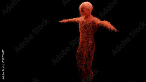 Photos Human arterial and venous circulatory system, Medically accurate animation of Va