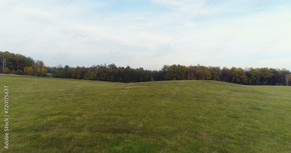 Obraz premium Flying Over Forest. Forest from Above