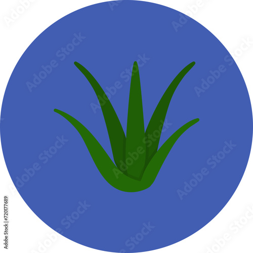 Aloevera icon vector image. Can be used for Spa.