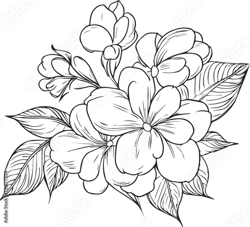 Easy jasmine drawing, Beautiful bellflower drawing with leaves line art, plant branch vector botanical illustration coloring books and page for children and adults,  jasmine tattoo vector