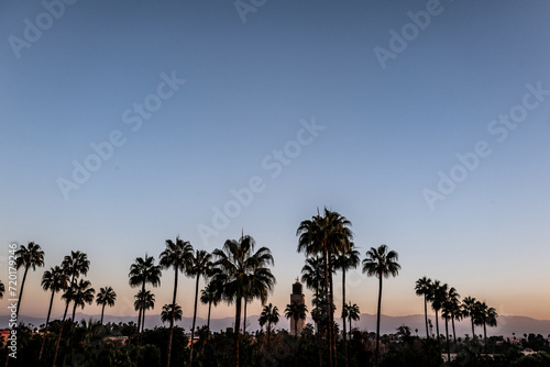 palm trees at sunset © Simon