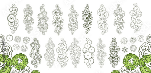 Tree for architectural floor plans. Entourage design. Various trees, bushes, and shrubs, top view for the landscape design plan. Vector illustration.