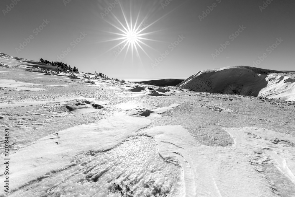 Fototapeta premium Beautiful winter landscape with snow and sun. Black and white. The Giant mountains.