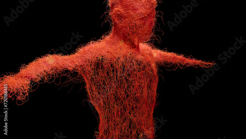 Human arterial and venous circulatory system, Medically accurate animation of Vains and arteries growth, blood vessels, Red capillaries network, 3d render photo