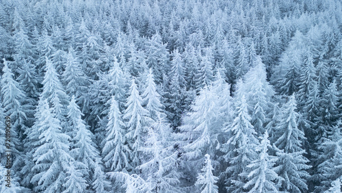 Aerial view of snow covert tree tops in Hoherodskopf, Germany 