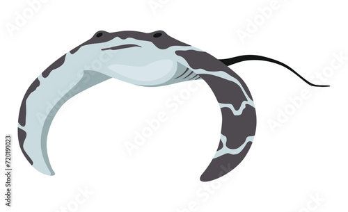 Stingray fish. Sea animal floating underwater. Cute cartoon stingray. Adorable sea creature isolated on white background. Wildlife, nature concept. Vector illustration of manta ray