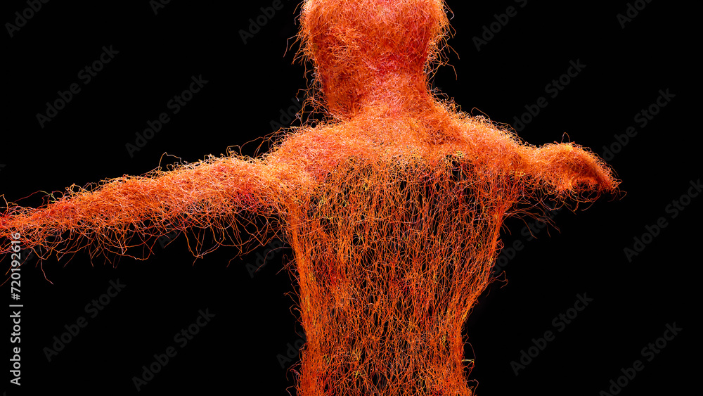 Human arterial and venous circulatory system, Medically accurate animation of Vains and arteries growth, blood vessels, Red capillaries network, 3d render - obrazy, fototapety, plakaty 