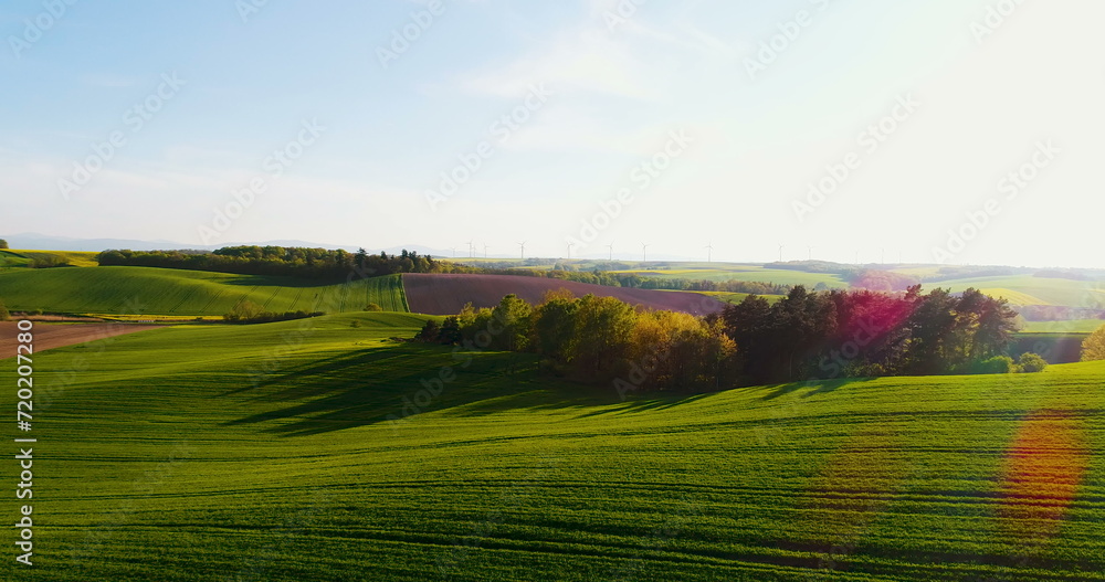 Fields with various types of agriculture 4K