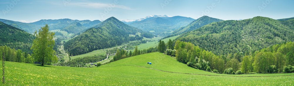 Spring green of forests and meadows, rural landscape, a sunny day