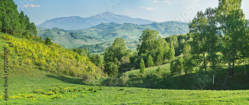View of mountains in spring, greenery of forests and meadows, panoramic view