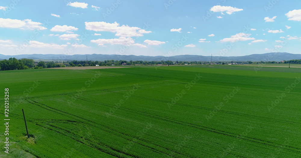 wide agricultural field aerial view
