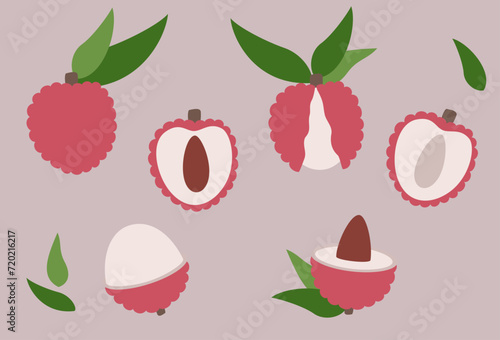 Lychee flat design vector illustration. Icon set of lychee in simple cartoon style.