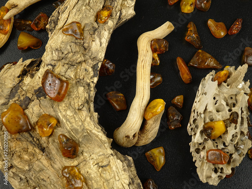 Dry branches and weathered tree bark and small pieces of polished amber on a black background, natural composition  photo