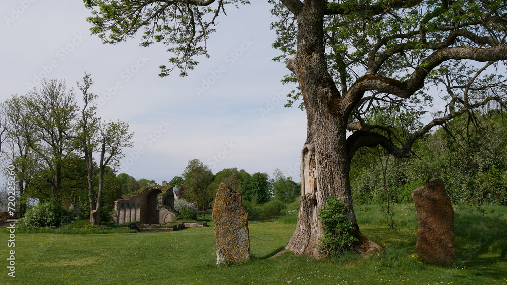 Baum Baum