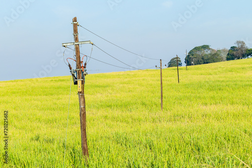 Farm Electrical Poles Cables Hill Trees Crops Landscape