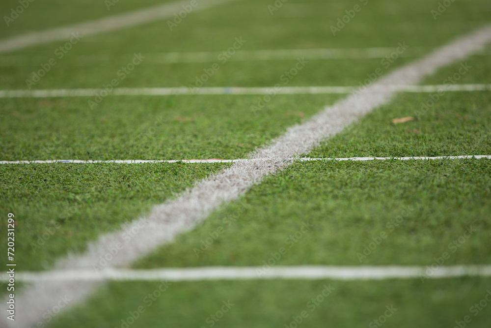 Close up of green grass texture for course or sport background.